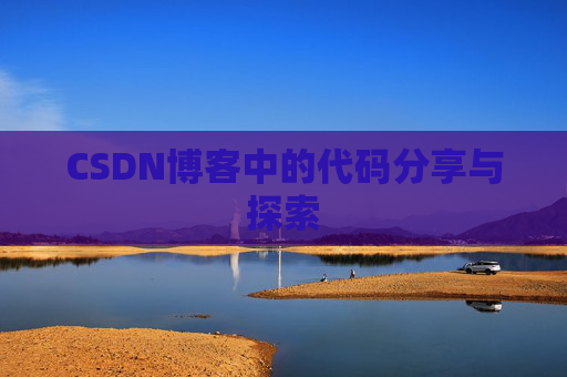 CSDN博客中的代码分享与探索